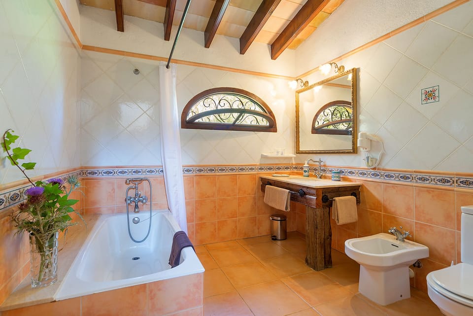 Combined shower/tub, free toiletries, hair dryer, bidet