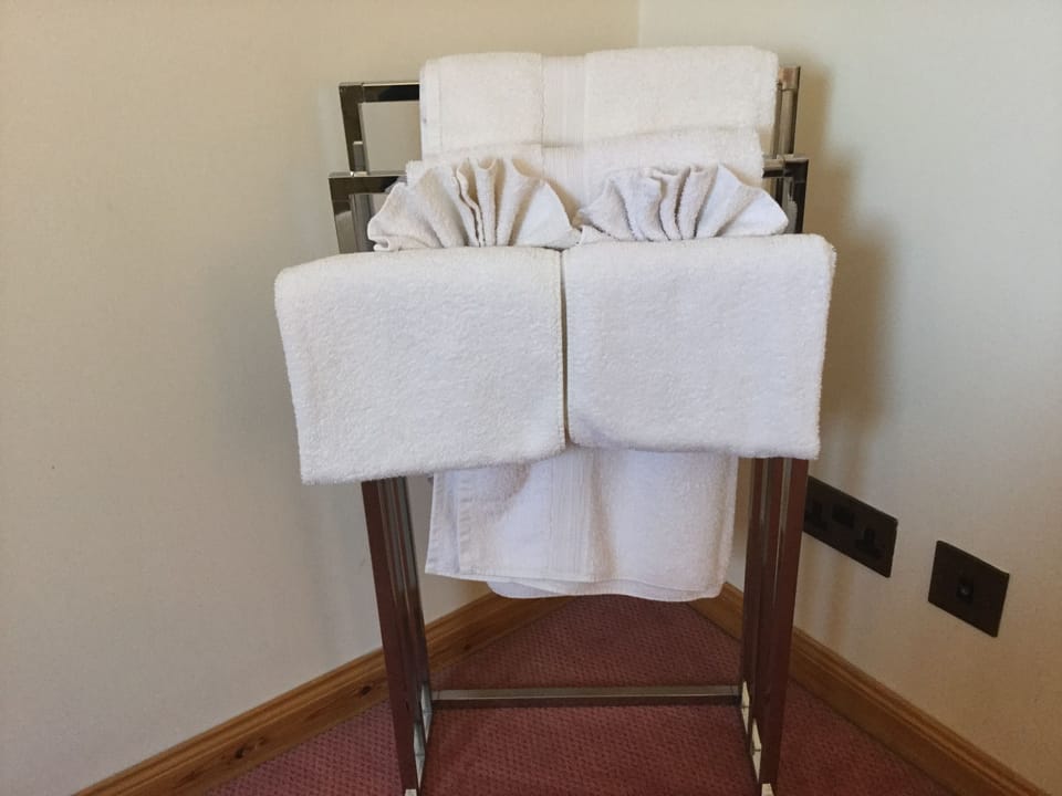 Combined shower/tub, free toiletries, hair dryer, towels