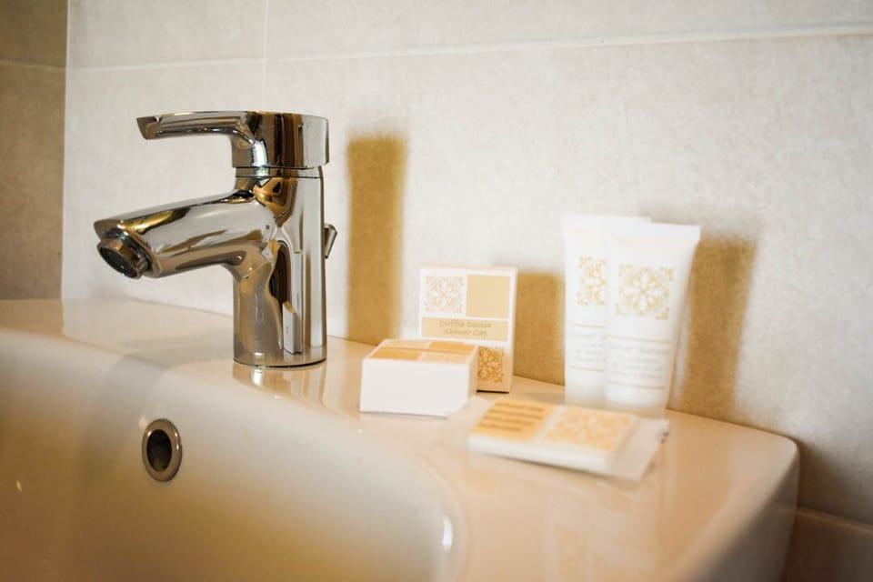 Shower, free toiletries, hair dryer, bidet