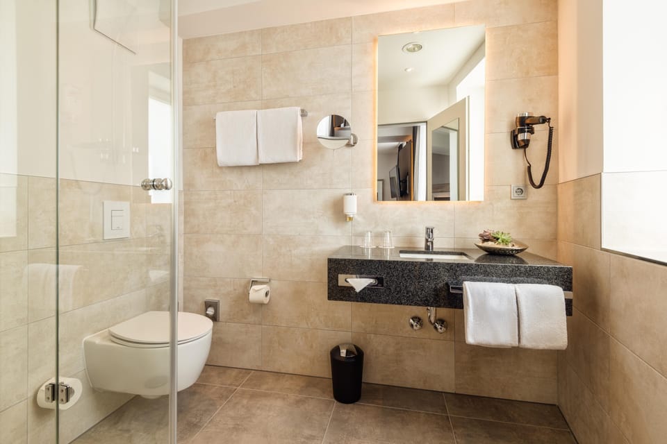 Shower, free toiletries, hair dryer, towels