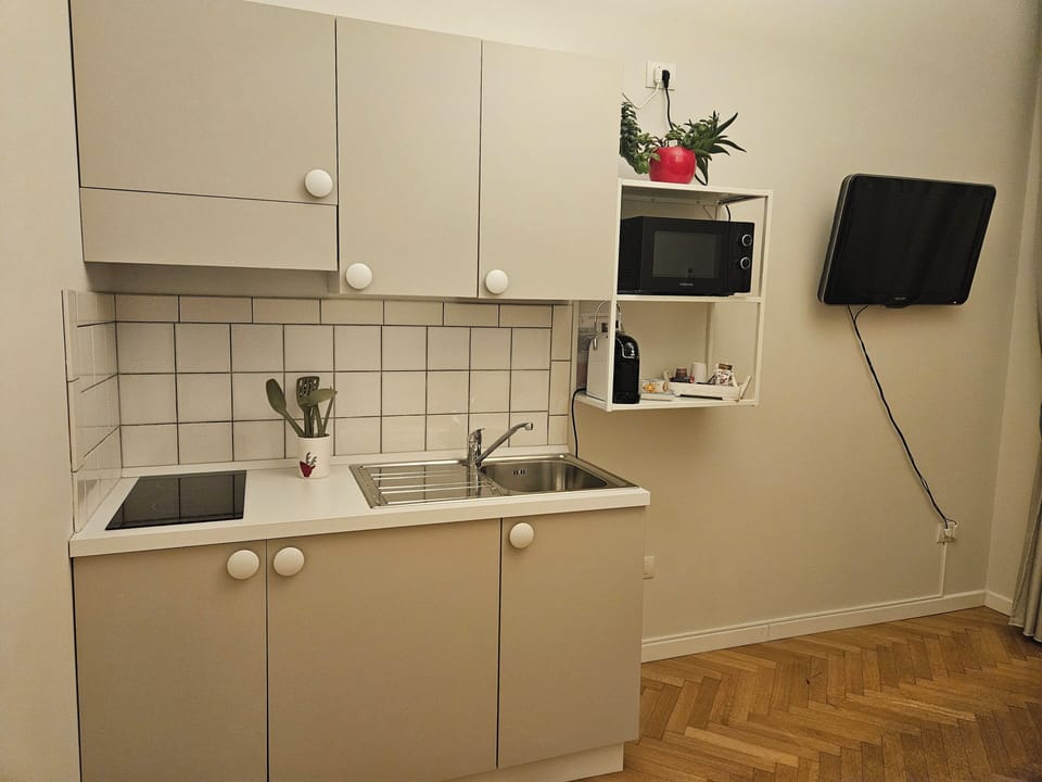 Deluxe Apartment | Private kitchen