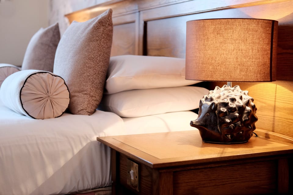 Standard Room | In-room safe, desk, iron/ironing board, free WiFi