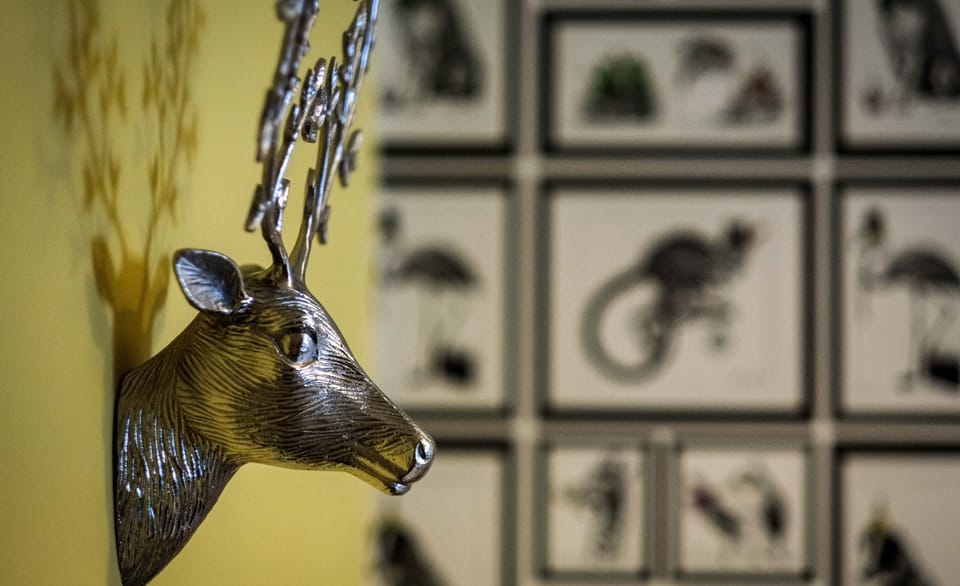 Standard Room | In-room safe, desk, iron/ironing board, free WiFi