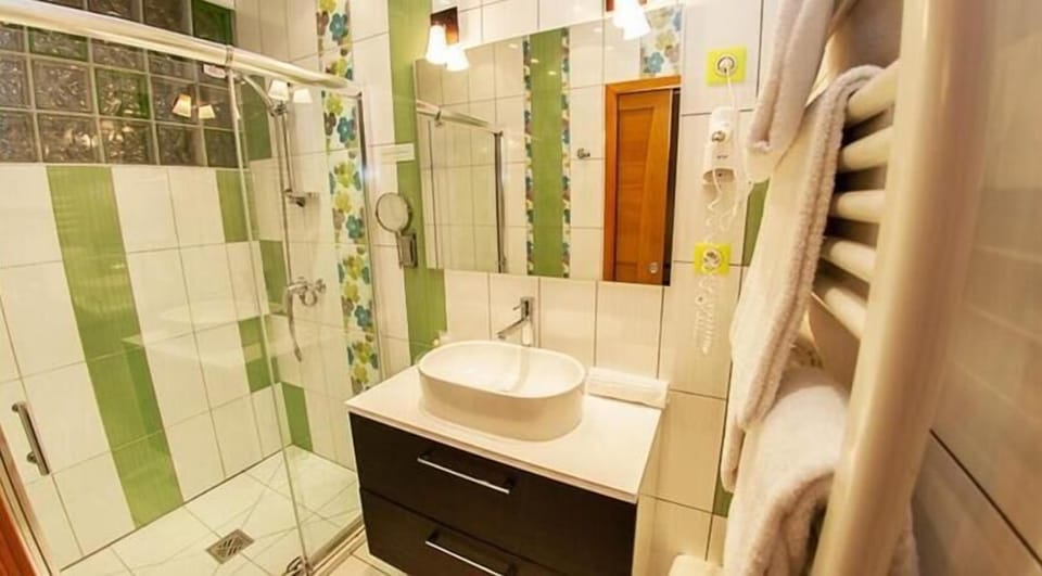 Family Room | Bathroom | Shower, free toiletries, hair dryer, towels