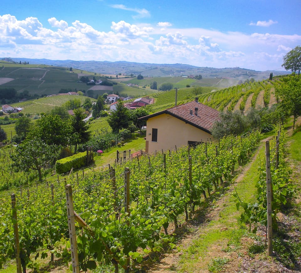 La cascina immersa nei vigneti - The house surrounded by vineyards