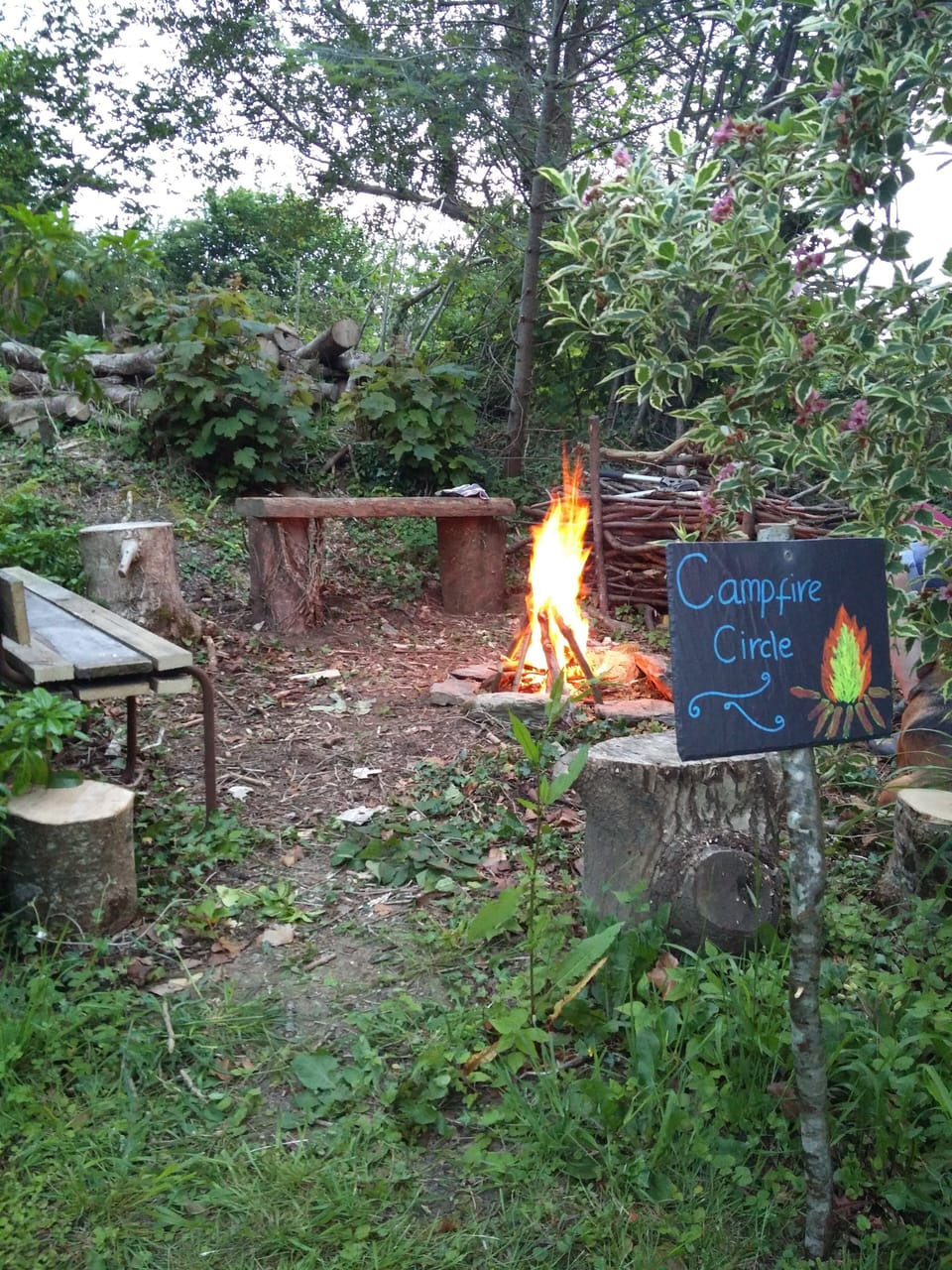 Our campfire circle