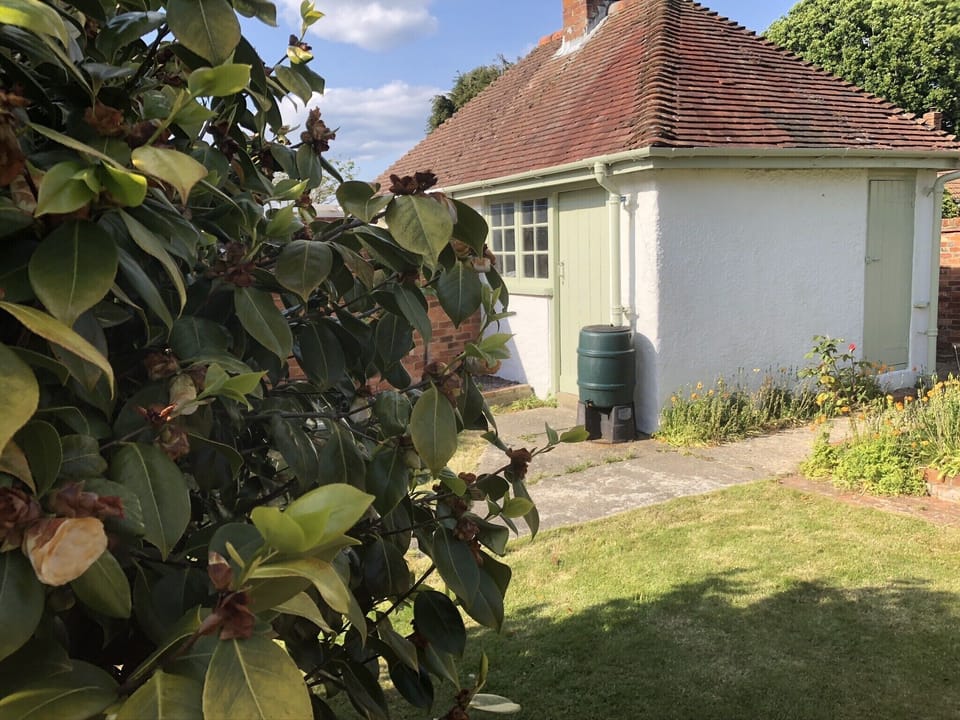 Outdoor shed / back garden