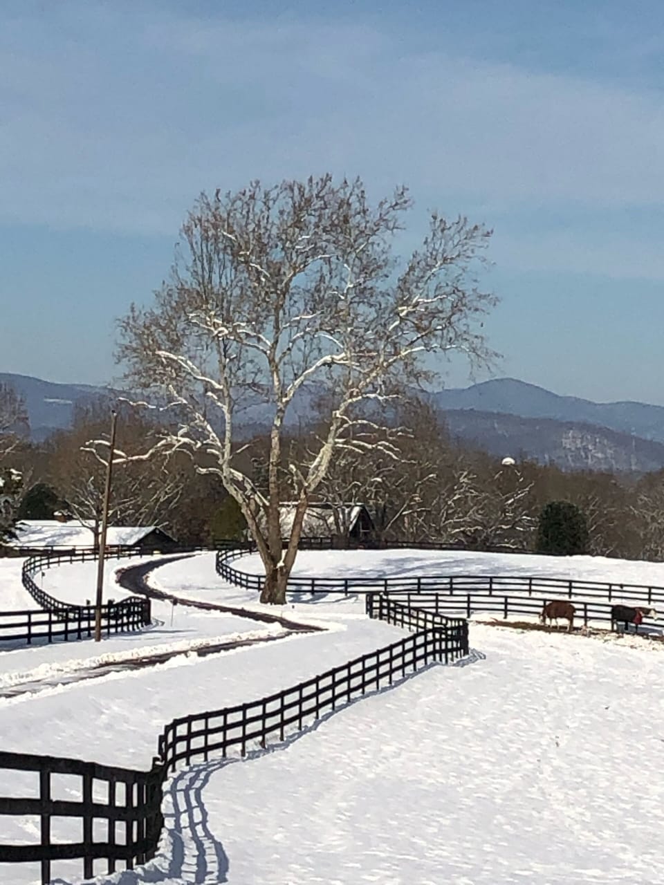 View from farm entrance.