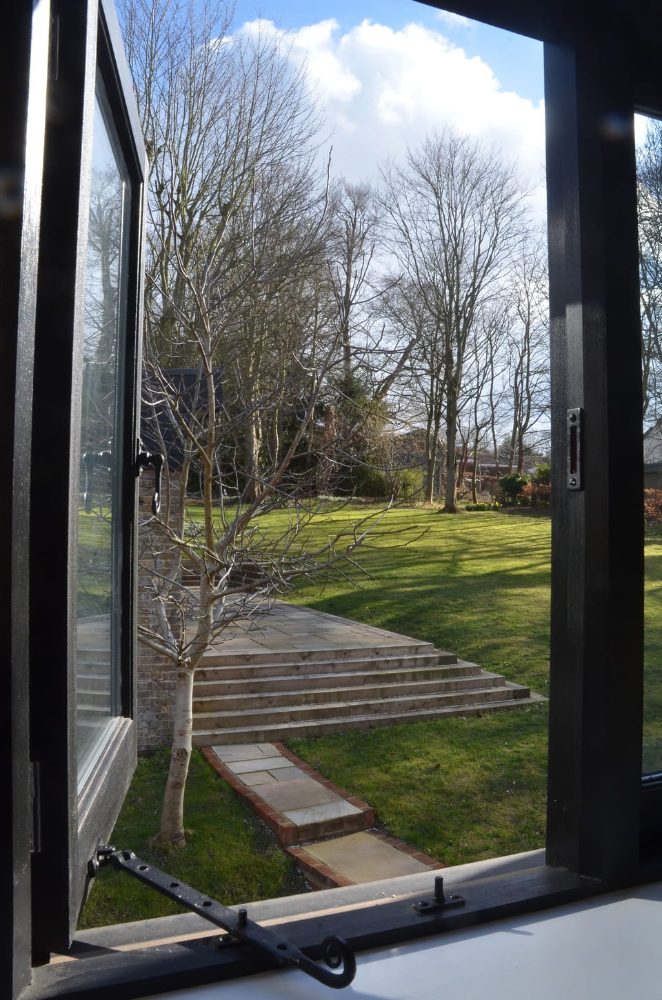 The walnut tree outside your window.