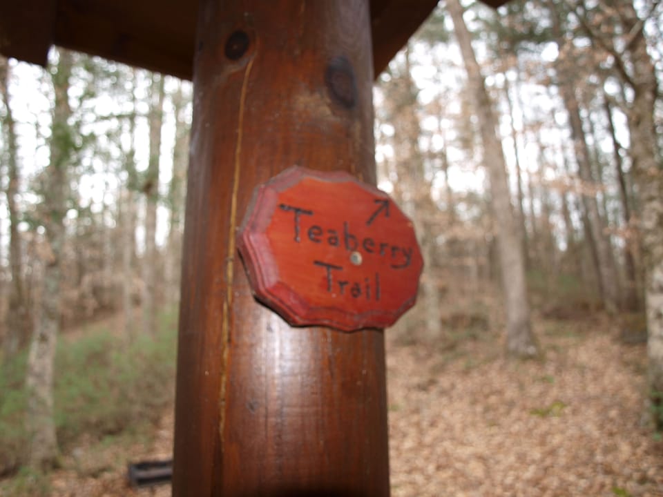 Cabin on Hiking trail. Sign on  back porch off of Kitchen.
