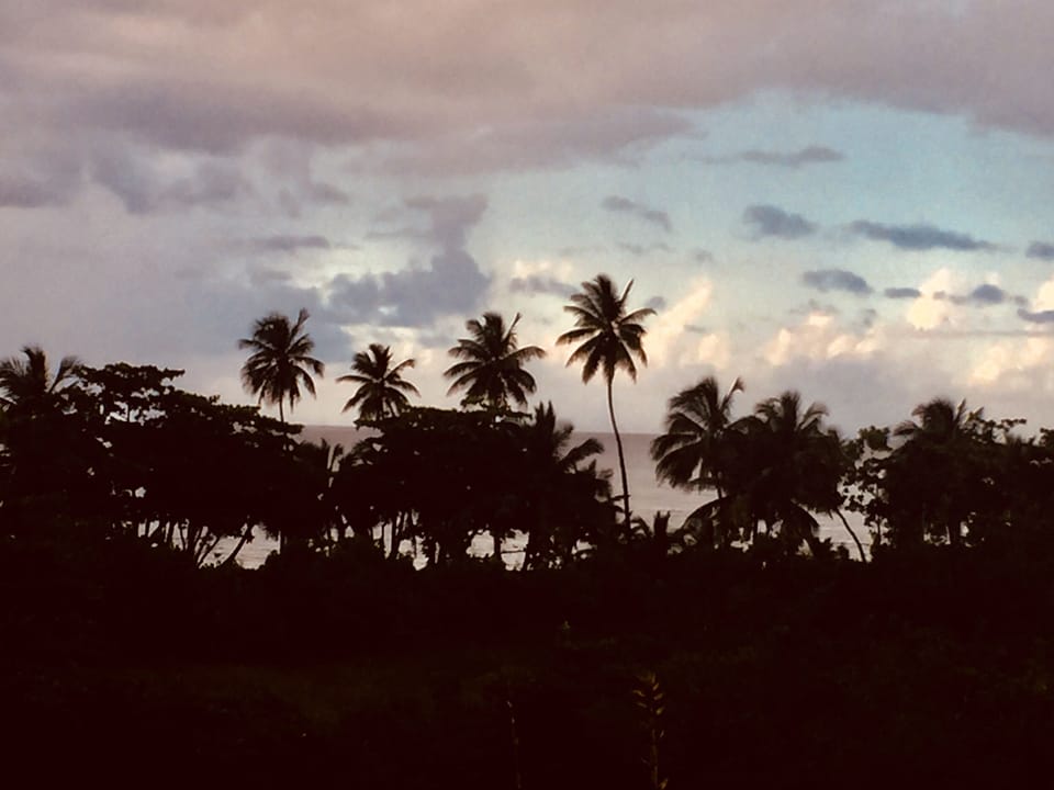 Evening view from the roof terrace.