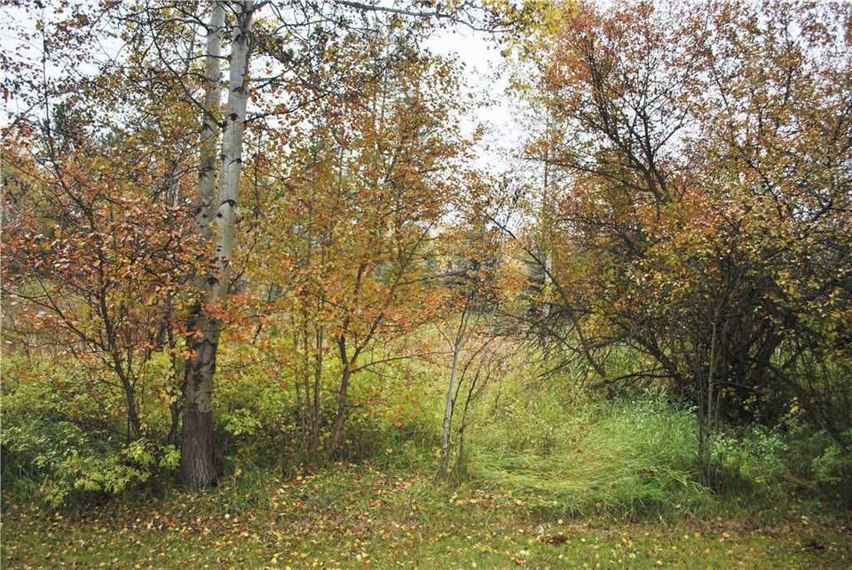 Master Deck Fall View (faces East)