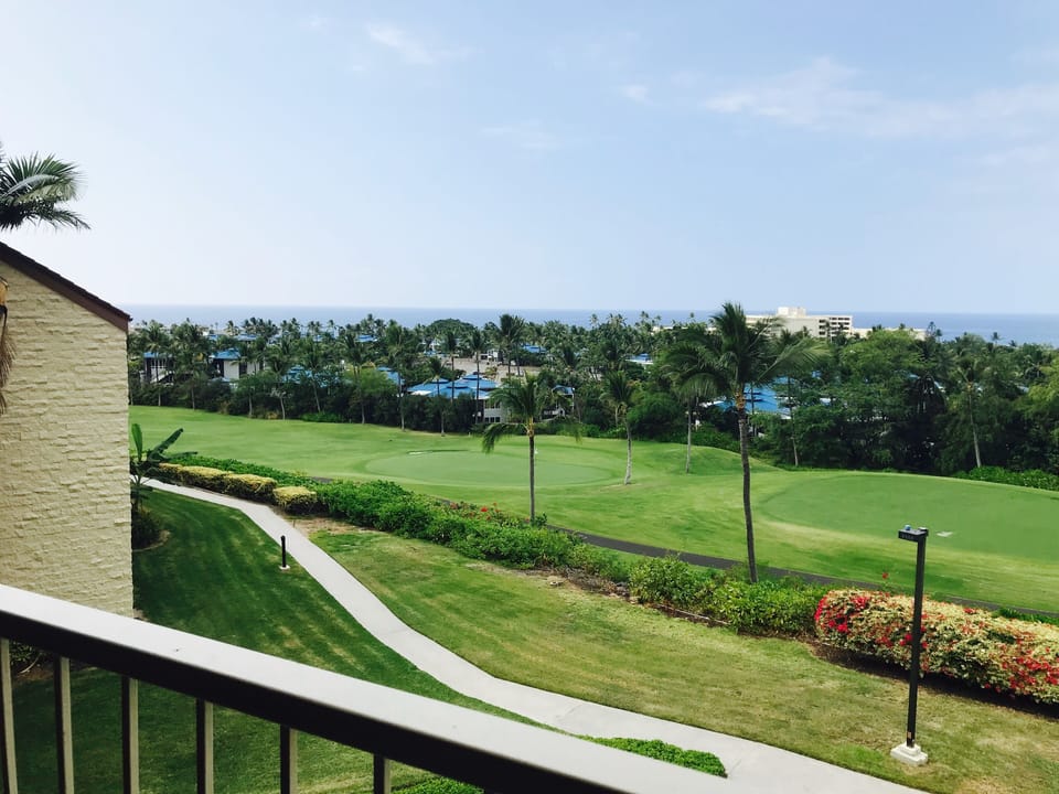 Looking out from the lanai.  