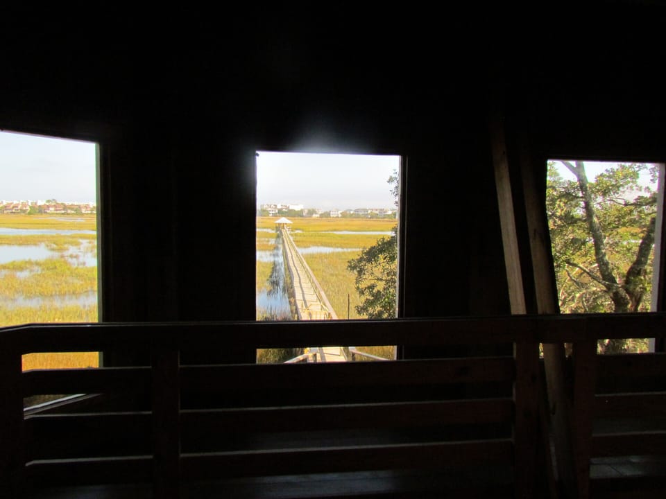 View from cat walk