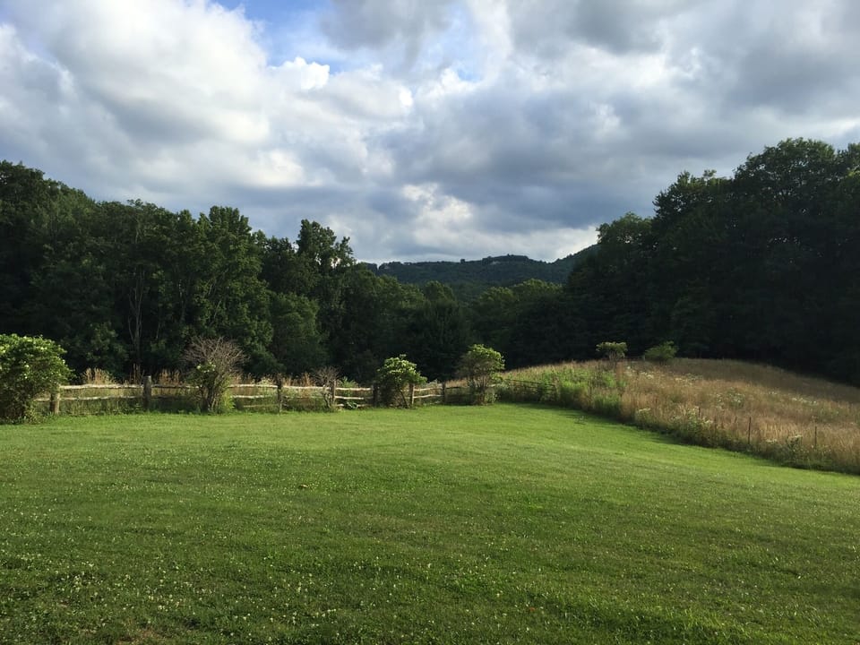 View from the right side of the front porch during the summer