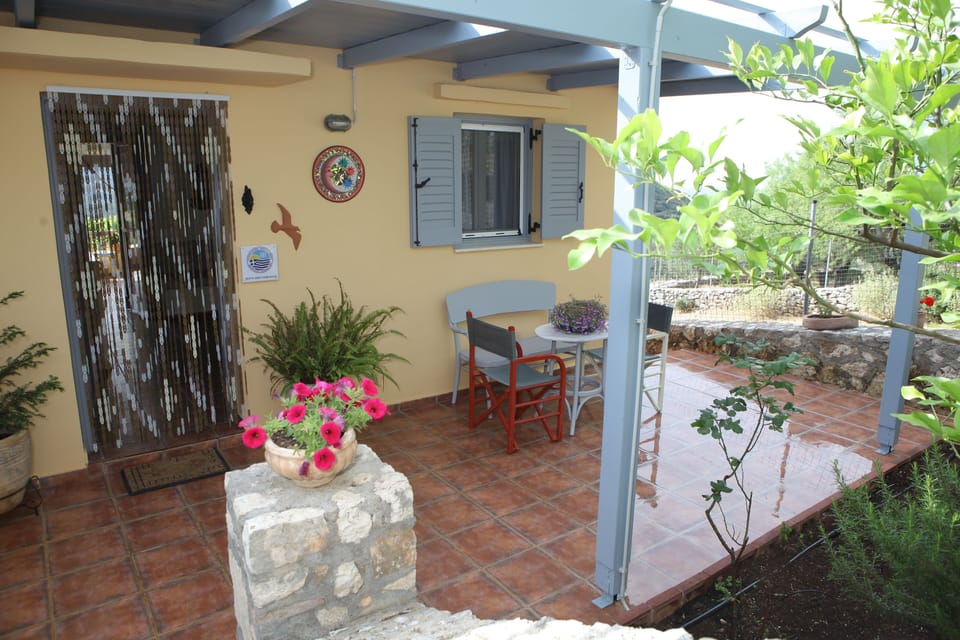 Entrance terrace