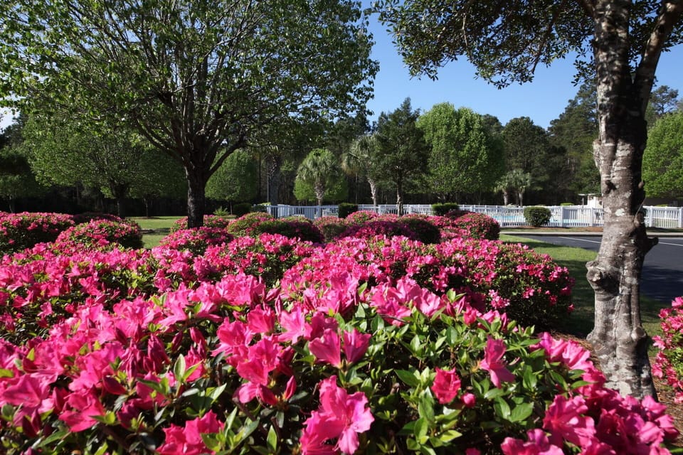 Beautiful grounds