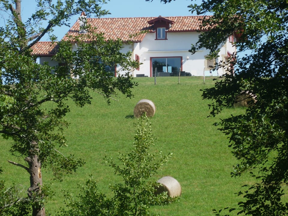 House seen from the forest