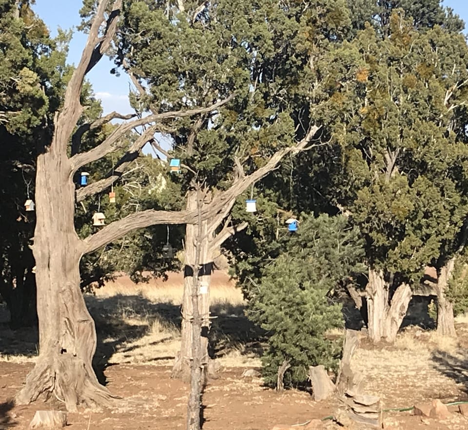 Birdhouses 