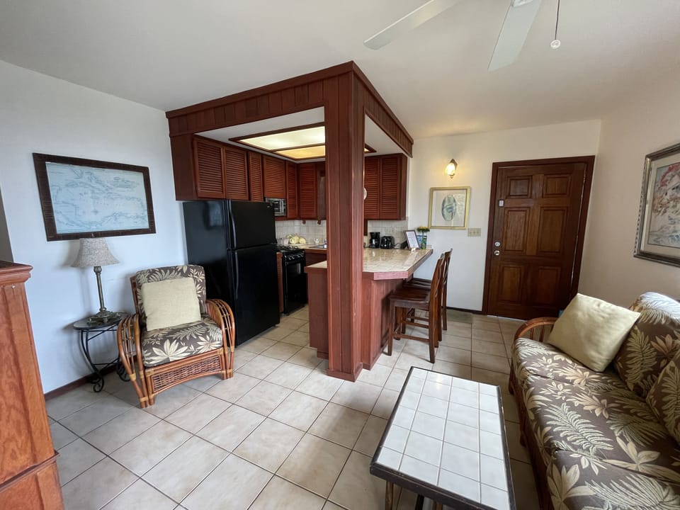 Living room and kitchen area