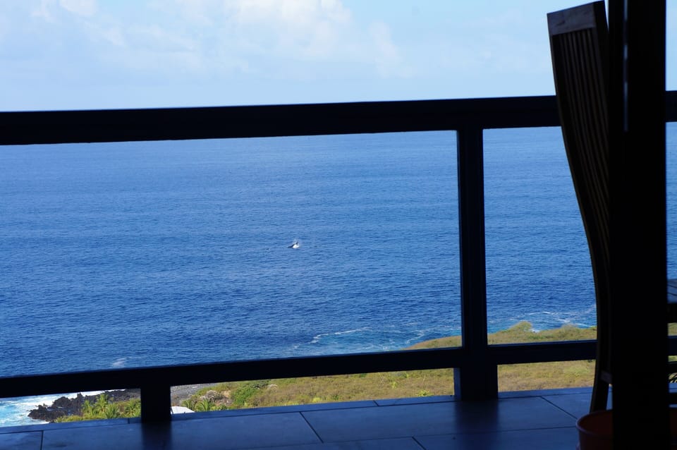 Whale watching from lanai