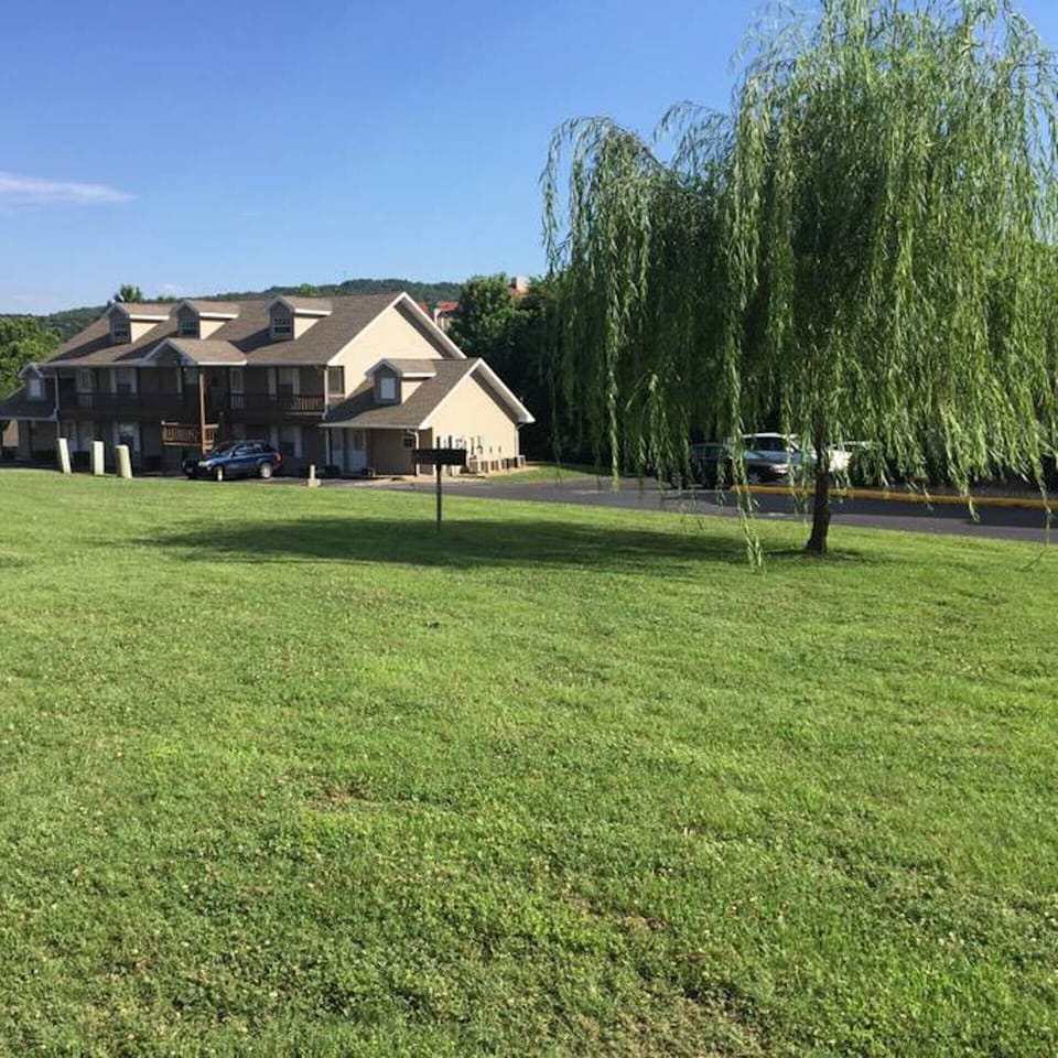 Patio View