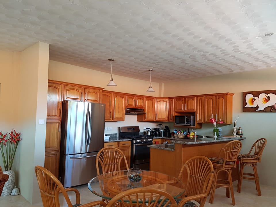 Well Equipped kitchen with modern  appliances 
