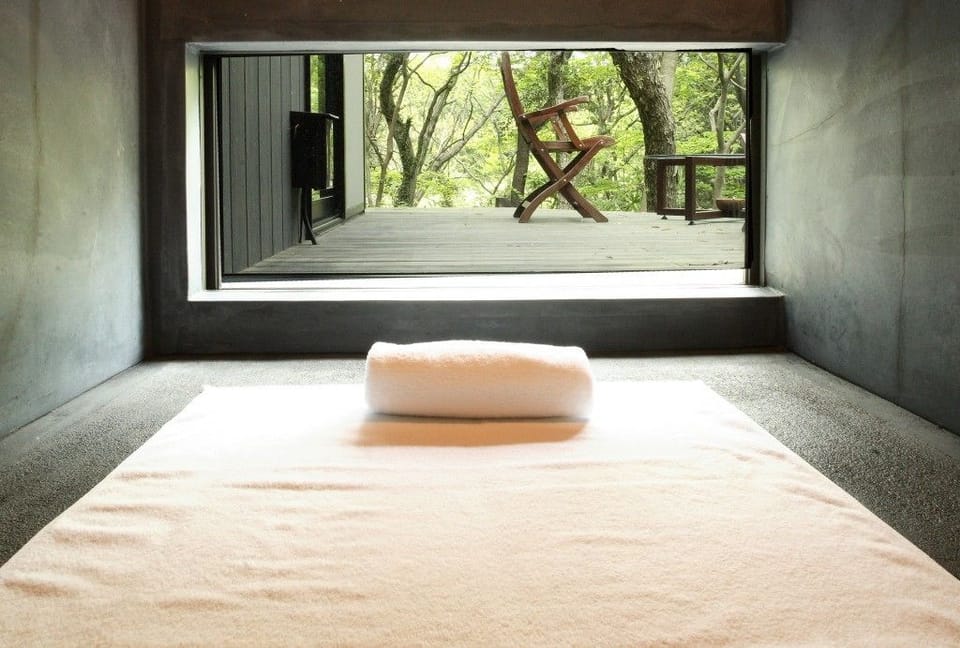 Annex with Stone Sauna | Bathroom amenities | Separate tub and shower, spring water tub, free toiletries, hair dryer