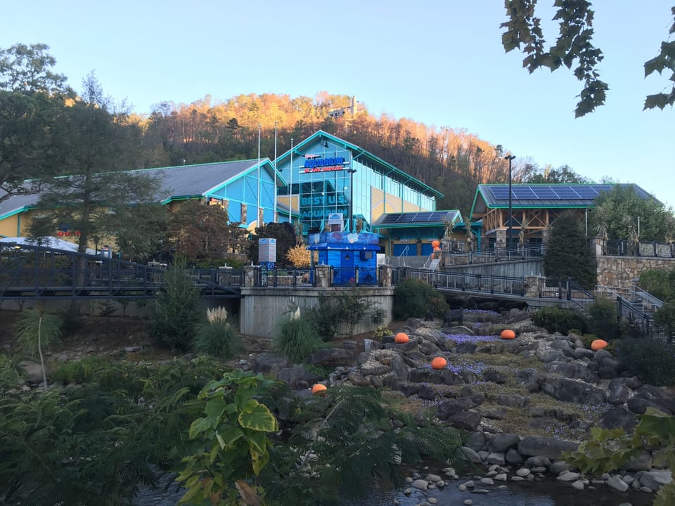Walk to Ripley's Aquarium in 15 minutes