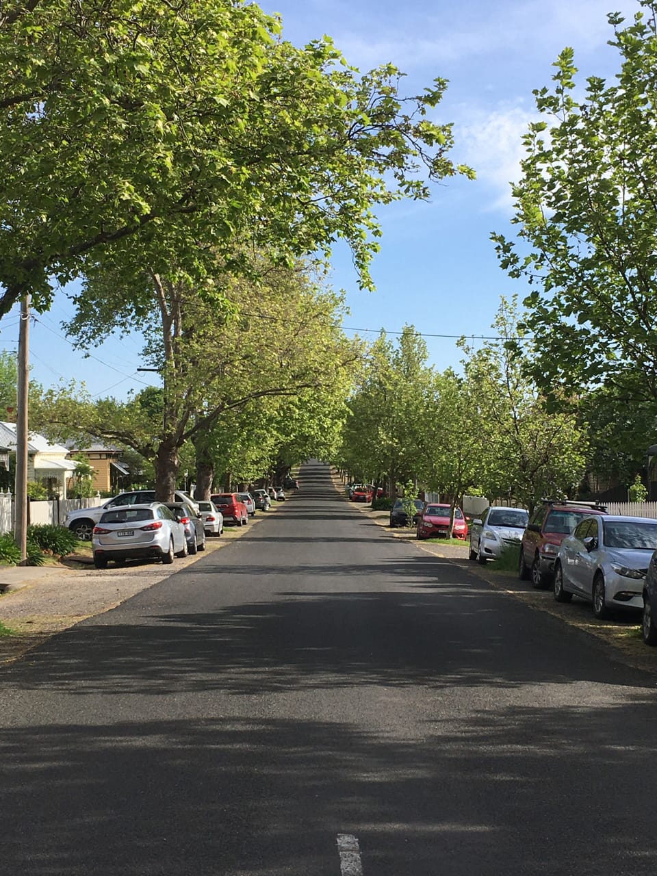 House is in a quiet tree lined street 