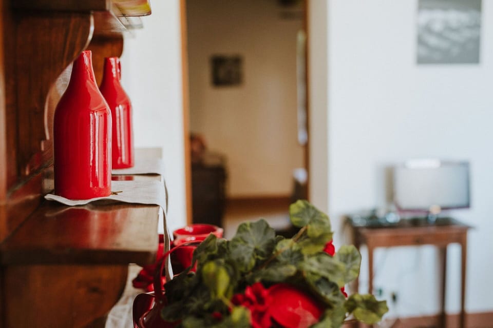 agriturismo-la-papessa-chianti-san-donato-farmhouse-azalea-living-room