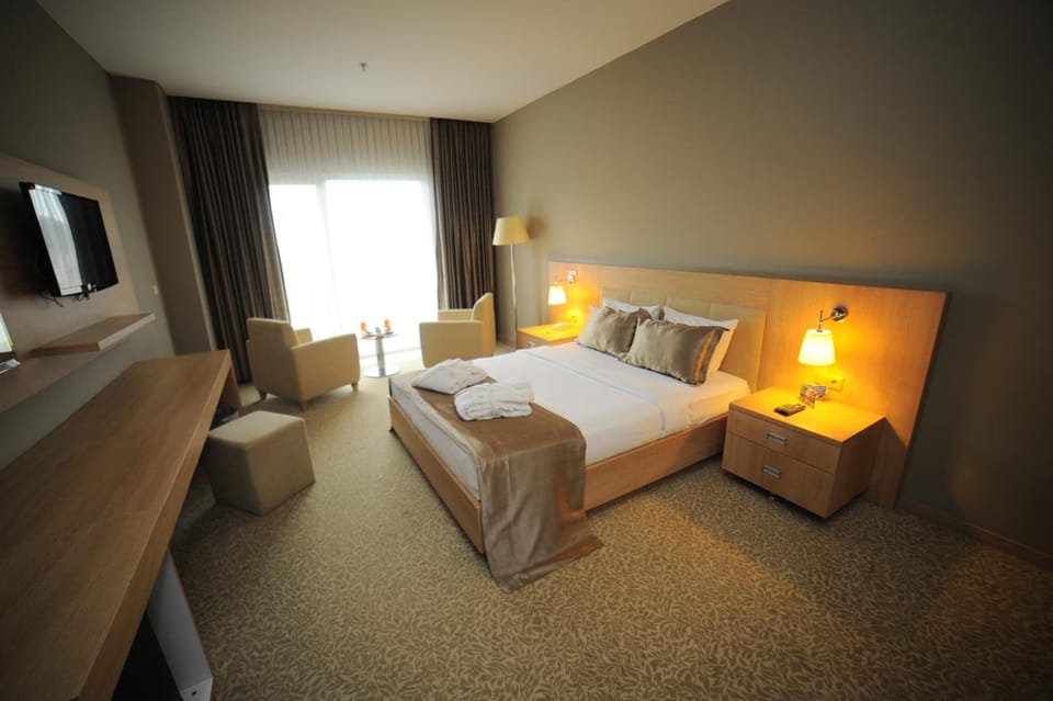 Minibar, in-room safe, soundproofing, WiFi (free)