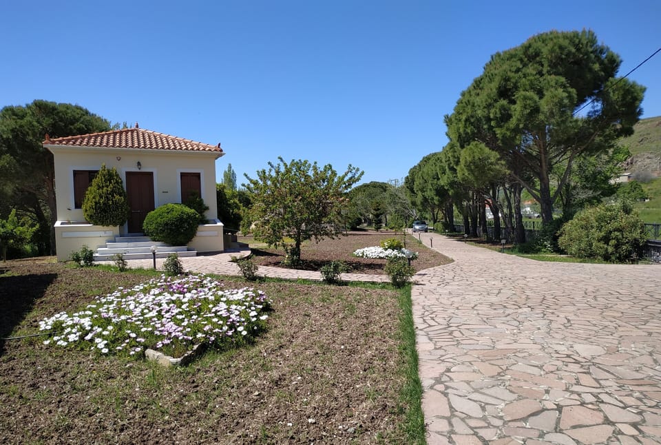 External View
