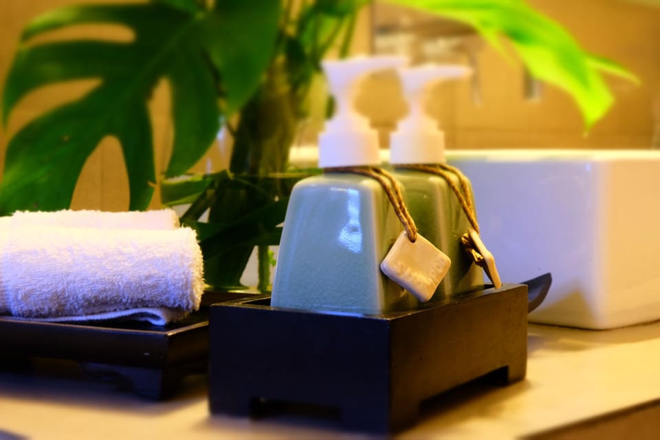 Deluxe Room | Bathroom amenities | Shower, eco-friendly toiletries, hair dryer, bidet