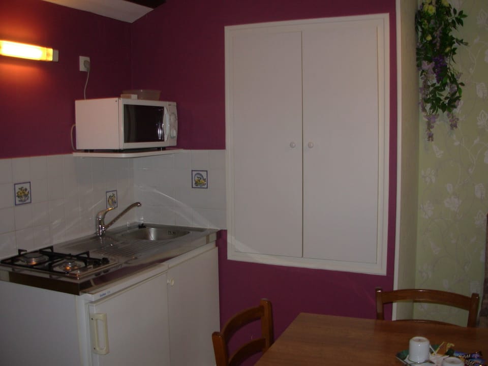 Fridge, microwave, coffee/tea maker, electric kettle