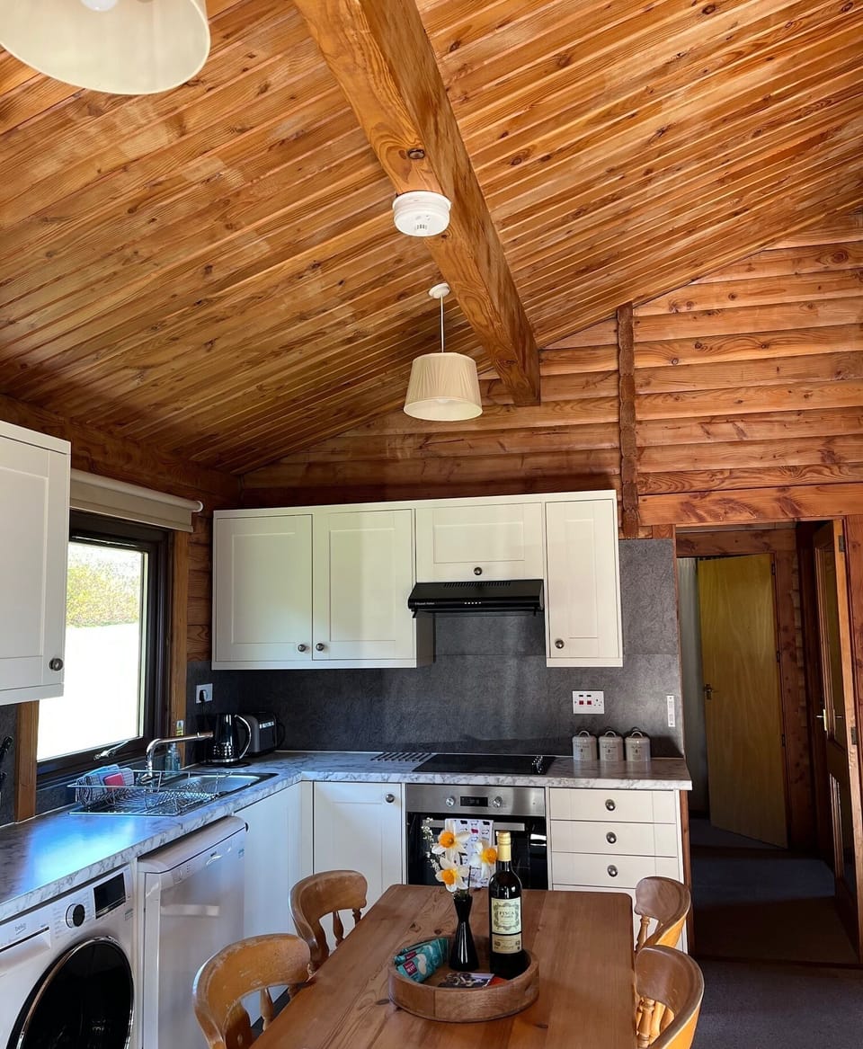 Cabin, Private Bathroom, Sea View (Antrim) | Private kitchen | Fridge, microwave, oven, stovetop