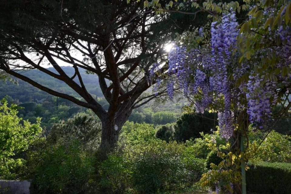 Surroundings [summer] (1-5 km)