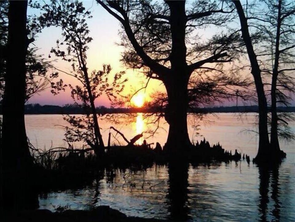 Beautiful Reelfoot Lake.  Picture taken from state Park.