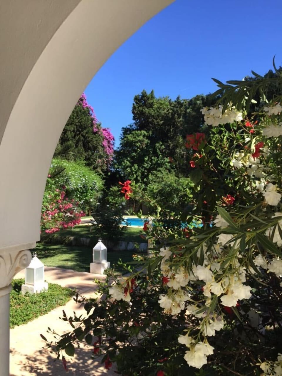 Garden