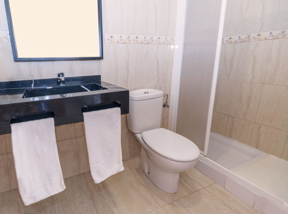 Shower, free toiletries, hair dryer, towels