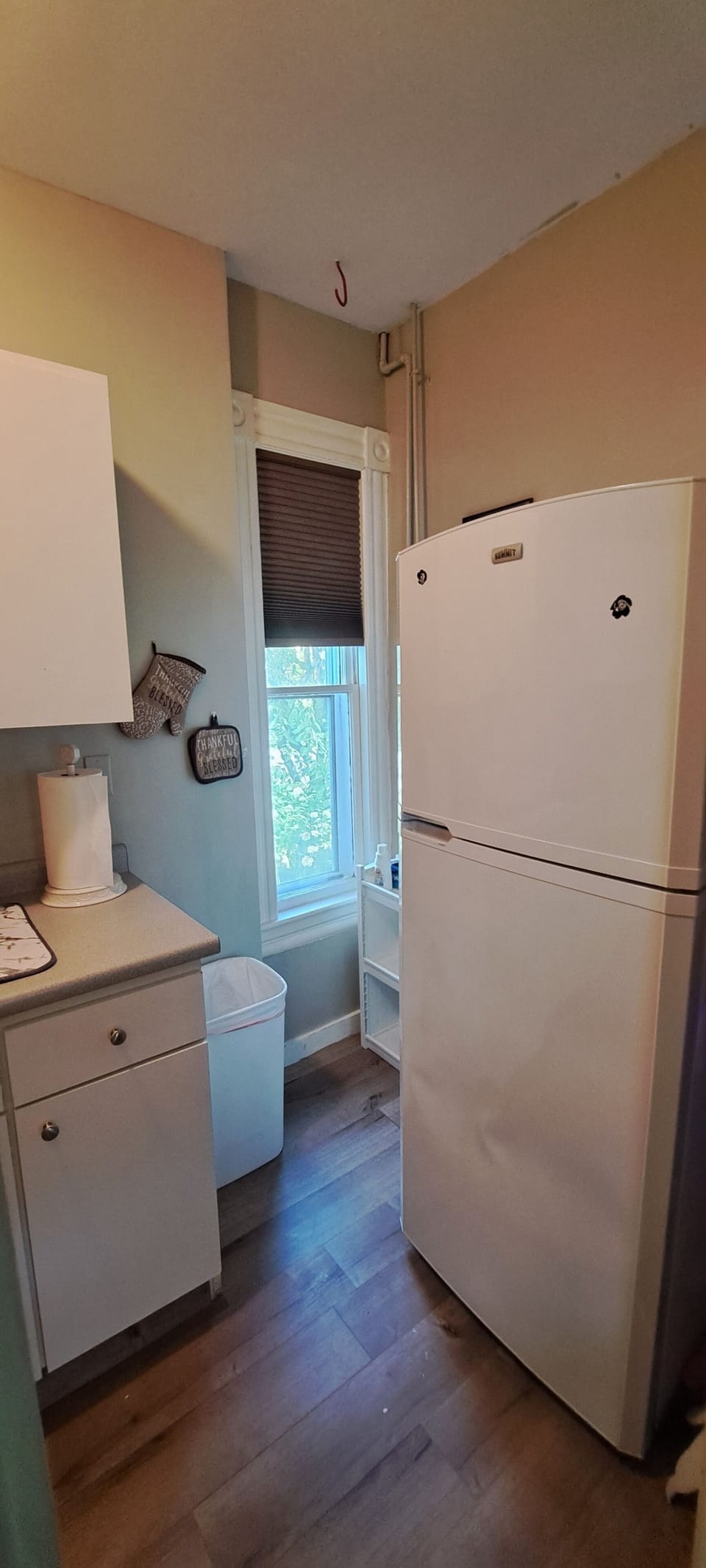 kitchen Refrigerator area