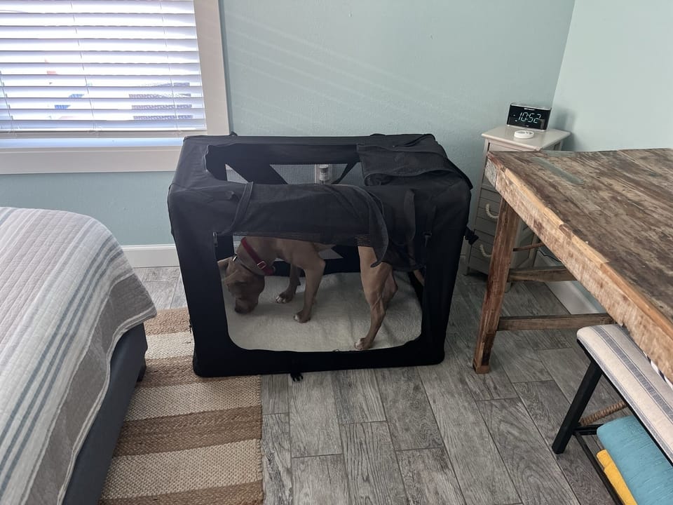 Large crate available for your Fur Babies
