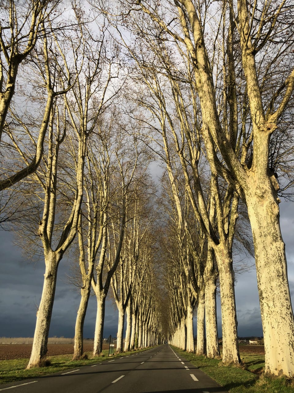 Marmande to Tonniens