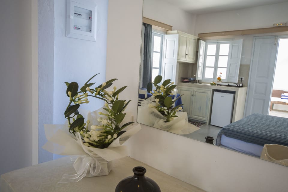 Standard Studio | Private kitchen | Fridge, oven, electric kettle, cookware/dishes/utensils