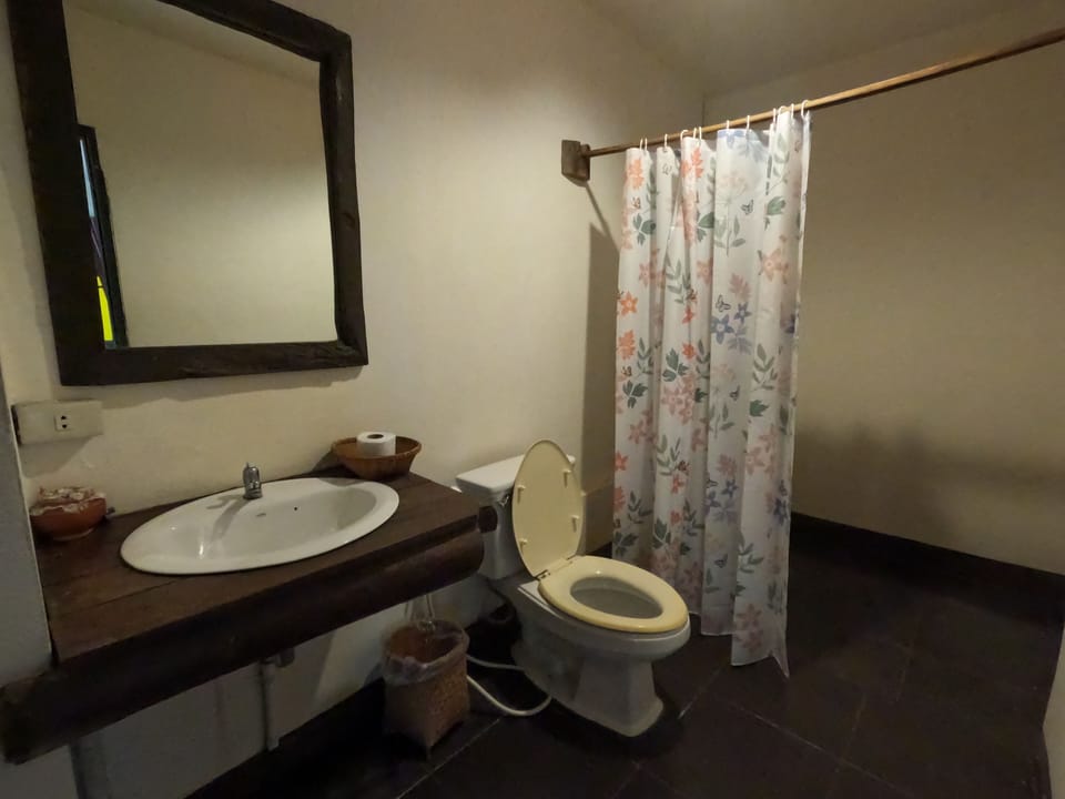 Shower, free toiletries, slippers, bidet