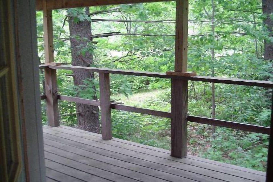 Acres of beautiful forest