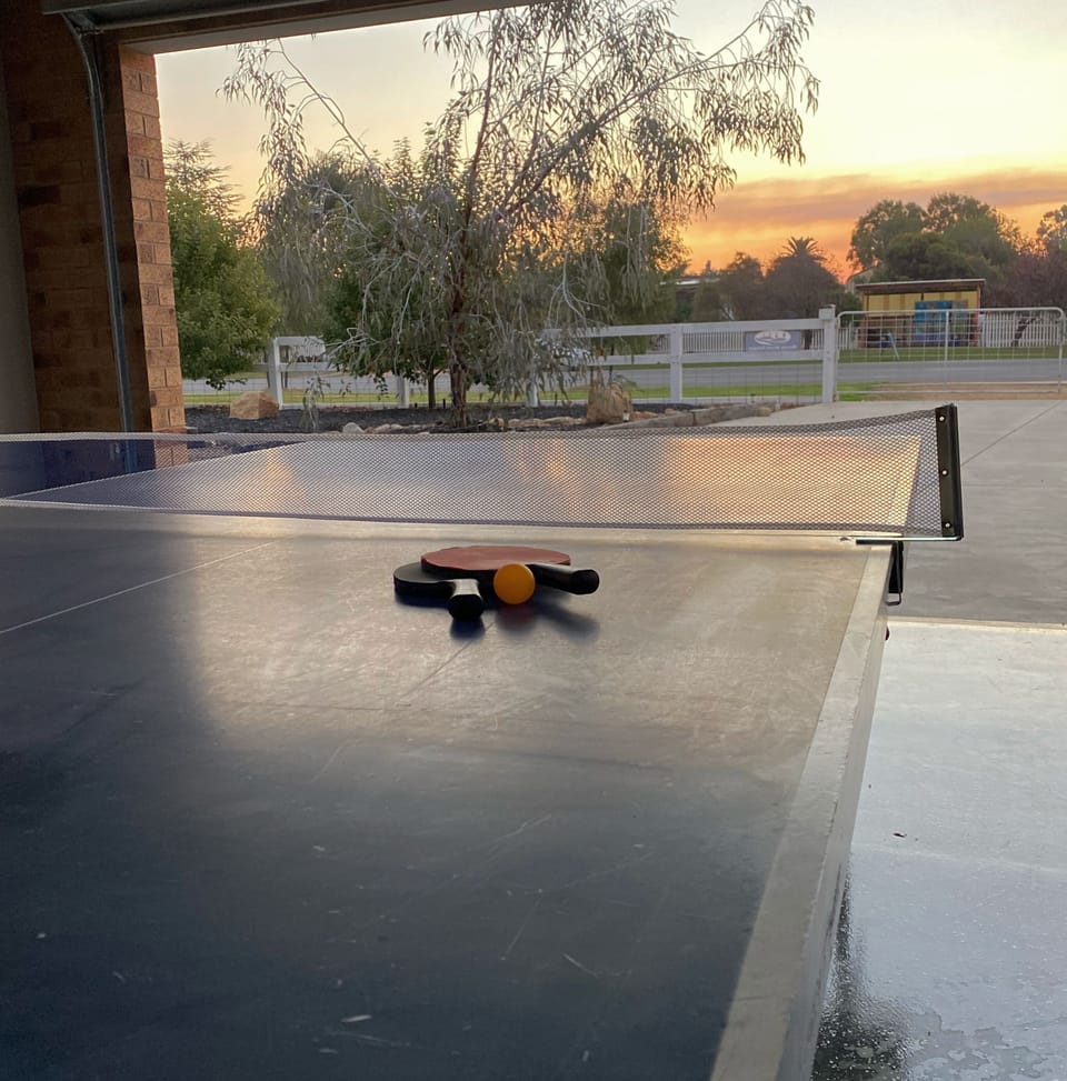 Table tennis available in garage