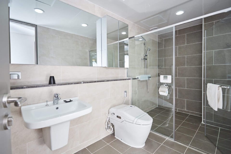 Shower, free toiletries, hair dryer, towels
