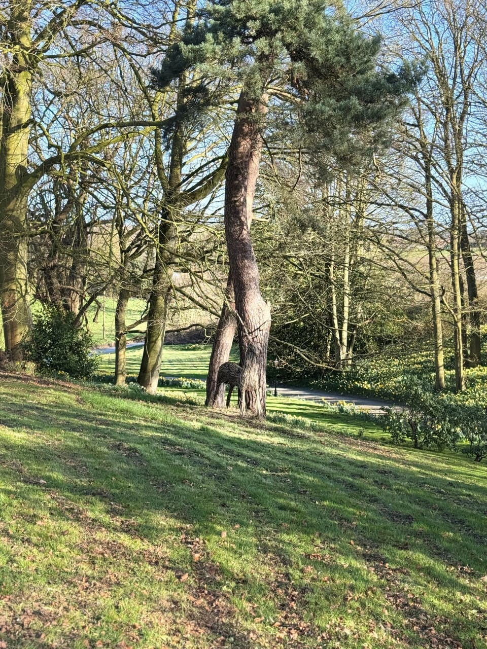 Scarborough Hill Country Inn Inn in North Walsham