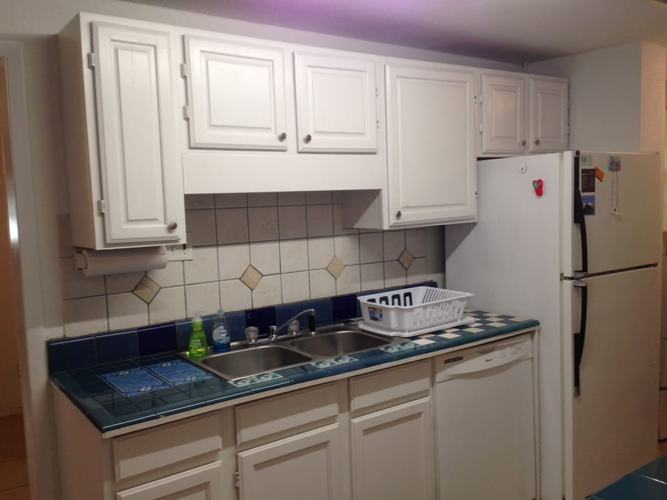 Sink and Dishwasher 